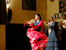 �G���E�p�e�B�I�E�Z�r�W���[�m���