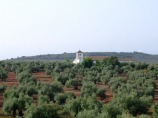 �R���h�o
